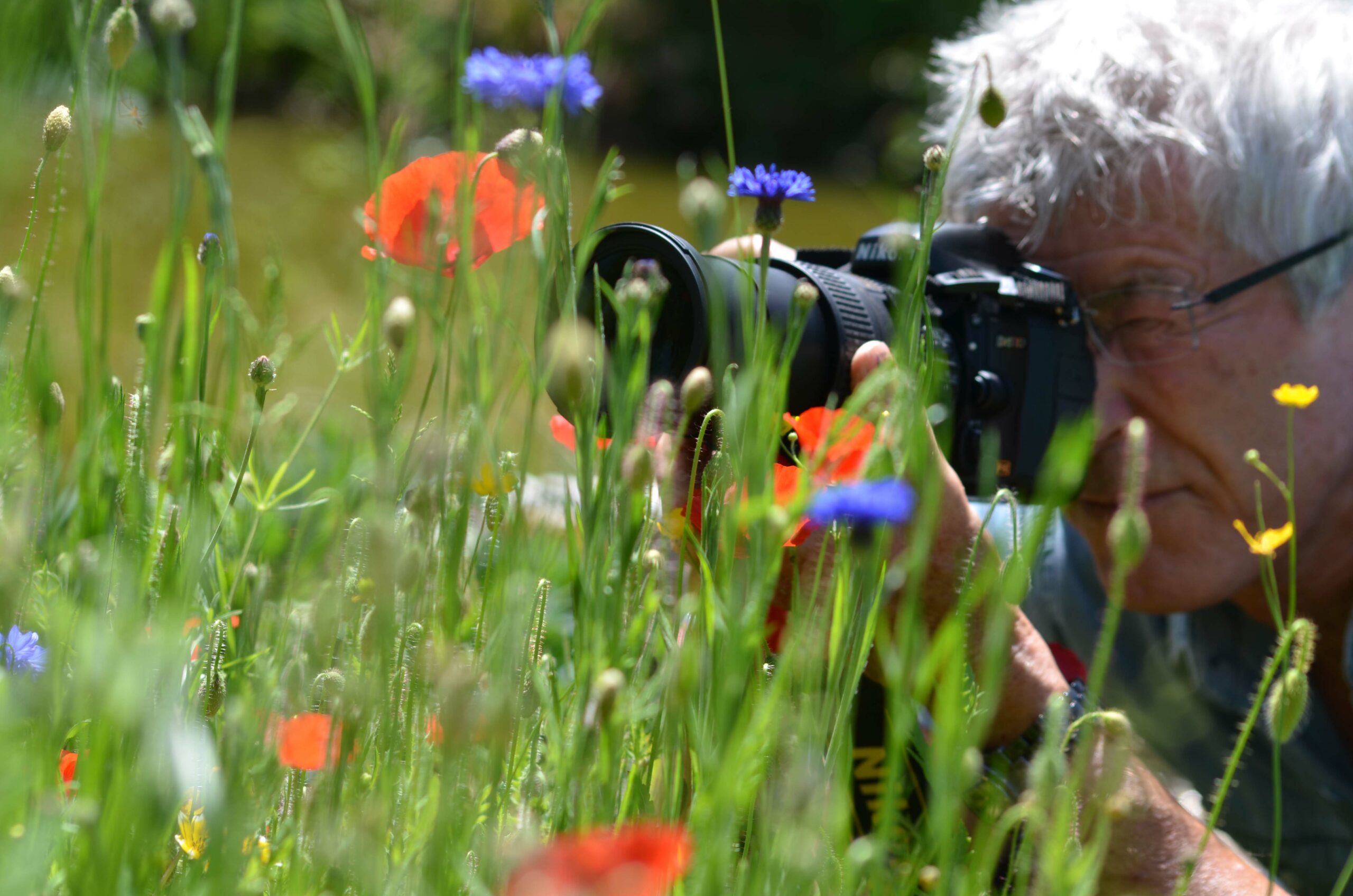 Présentation de Jean Chapuis-photographe de nature