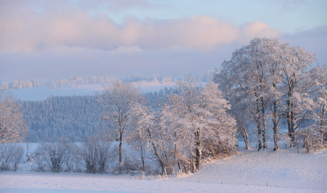 La magie de l'hiver