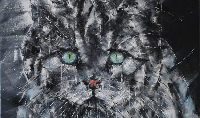 Chat sauvage / les prunelles d'émeraude - Peinture à l'huile sur toile - 60x60cm