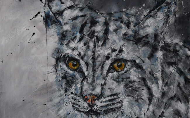 Lynx / le prince des bois - Peinture à l'huile sur toile - 60x60cm