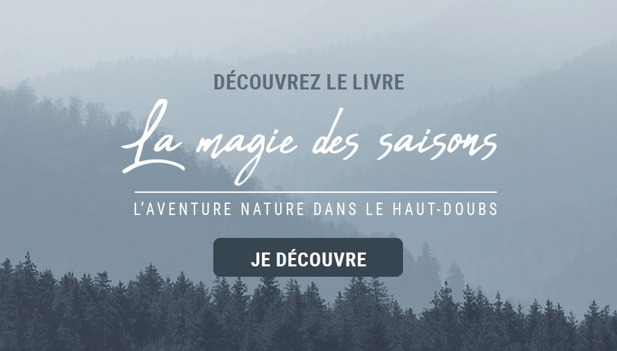 La magie des saisons